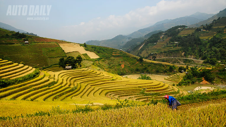 Kiệt t&aacute;c ruộng bậc thang M&ugrave; Cang Chải